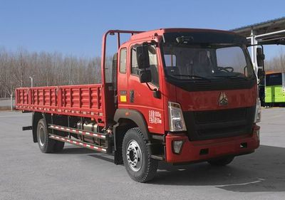 Haowo  ZZ1167K521DF1 Truck