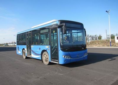 Huanghai  DD6851B01 City buses