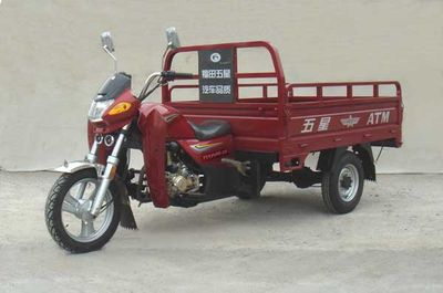 Foton Five Star WX175ZH3A right three-wheeled motorcycle 