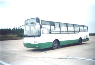 Yangzi YZK6102HZBTcoach