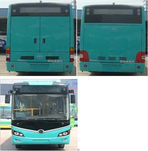 Wuzhoulong  FDG6105EVG3 Pure electric city buses