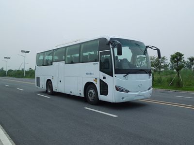 Feichi  FSQ6980DC coach