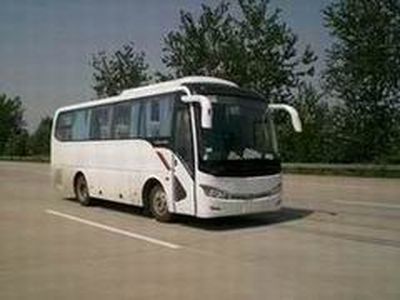 Jinlong  XMQ6859AYD4B coach