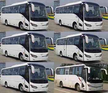 Jinlong  XMQ6859AYD4B coach