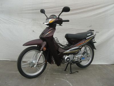 Fengguang FK1108ATwo wheeled motorcycles