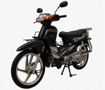 Jinlong  JL11030 Two wheeled motorcycles