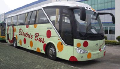 Wuzhoulong  FDG6123L1 coach