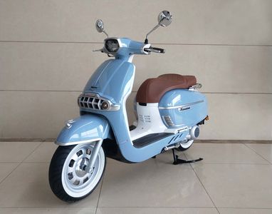 Longjia  LJ300TG Two wheeled motorcycles