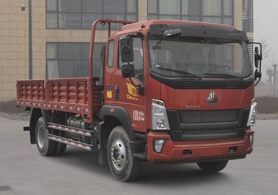 Haowo  ZZ1167K421DF1 Truck