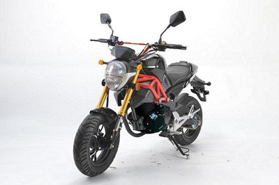 Nanjue  NJ1508A Two wheeled motorcycles