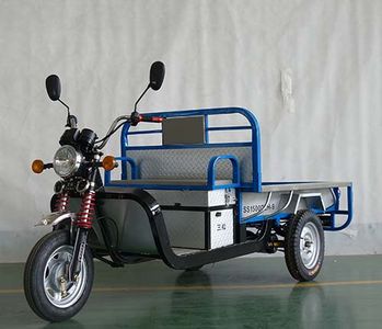 Sansong  SS1500DZH9 Electric tricycle