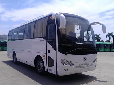 Jinlong  XMQ6900AYD5D coach