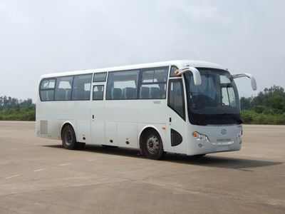 Jinlong  XMQ6900AYD5D coach