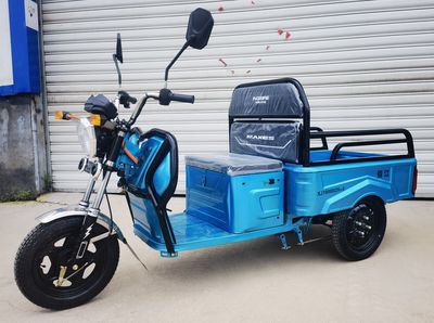 Xinjiang brand automobiles XJ1000DZH2 Electric tricycle