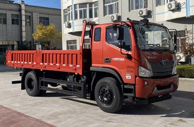 Foton  BJ3164DKPFD01 Dump truck