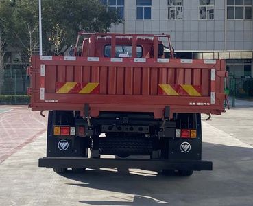 Foton  BJ3164DKPFD01 Dump truck