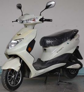 Haolin  HL1000DT3 Electric two wheeled motorcycle