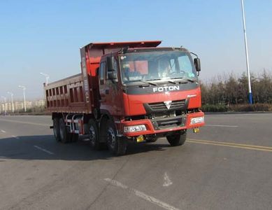 Chenhe  ZJH3310 Dump truck