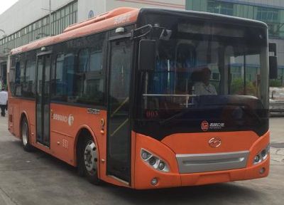 Wuzhoulong  FDG6853EVG Pure electric city buses