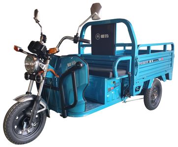 Emma  AM1000DZH2B Electric tricycle