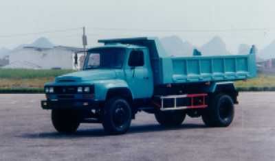 Dongfeng LZ3111GDump truck