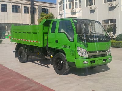 Foton  BJ3115DGJDA59 Dump truck