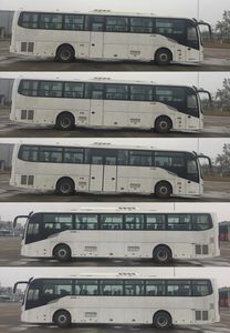 Jinlong  XMQ6120BGPHEVD51 Plug in hybrid urban buses