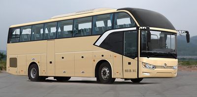 Jinlv  XML6122J38E coach