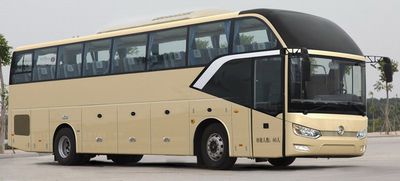 Jinlv  XML6122J38E coach