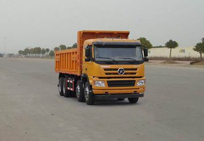 Dayun  CGC3313D4FD Dump truck