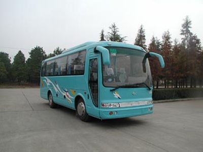 Huazhong Automobile WH6790R coach