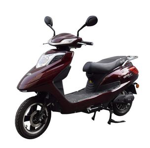 Tailing  TL1000DT19 Electric two wheeled motorcycle