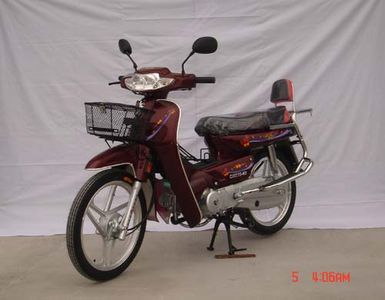 Changling  CM1004B Two wheeled motorcycles