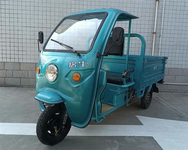 Mingniu  MN1200DZH6A Electric tricycle