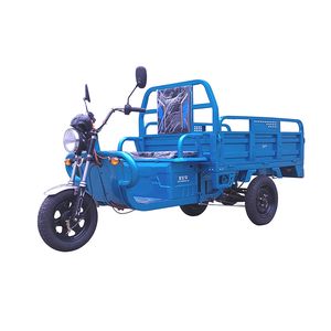 Century Bird SJN1500DZH2A Electric tricycle