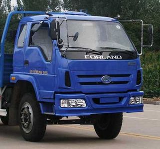 Foton  BJ1163VLPFG2 Truck