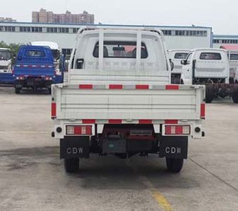 Ace car CDW1030N4M5Q Truck