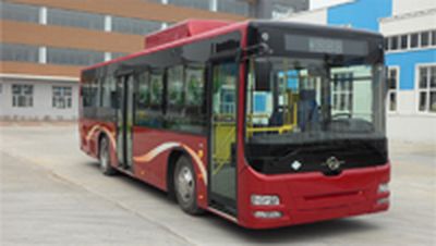 Longjiang brand automobilesLJK6106SHN5City buses