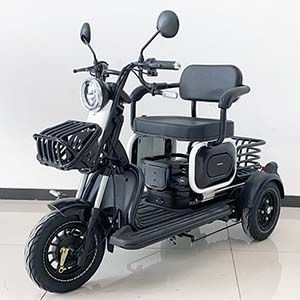 Wanshida  WSD500DQZ Electric three wheeled light motorcycle