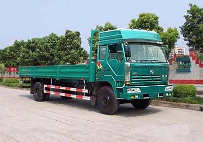 Hongyan  CQ1133TLG501 Truck