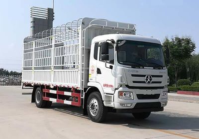 Dayun  CGC5160CCYD5BAEY Grate type transport vehicle