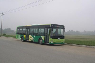 CSR Times TEG6129GJ50 City buses