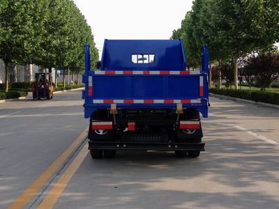 Shifeng  SSF3042DDP532 Dump truck