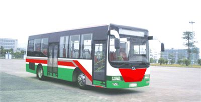 Wuzhoulong  FDG6921AGC3 City buses