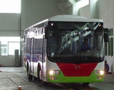 Wuzhoulong  FDG6921AGC3 City buses