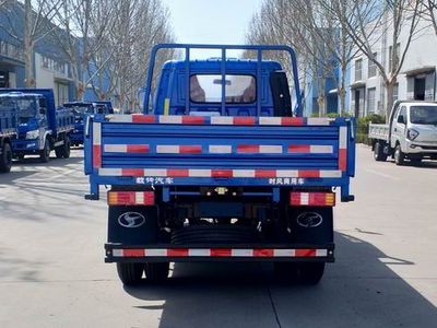 Shifeng  SSF1046HDJ42SQ Truck