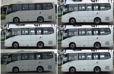 Jinlong  XMQ6759AYD5C coach