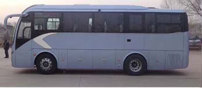 Jinlong  XMQ6901AYD4C1 coach