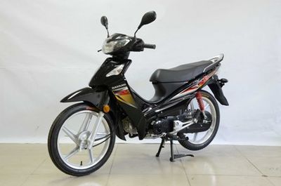 Dayang  DY11012 Two wheeled motorcycles