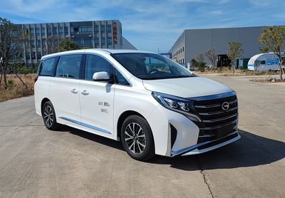 Lingyang  LYP5032XSW Business vehicle